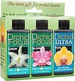 Orchid Focus GIFT PACK