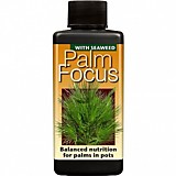 Palm Focus
