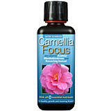 Camellia Focus - для камелии