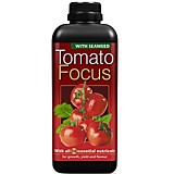 Tomato Focus