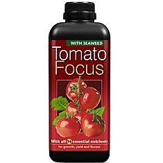 Tomato Focus