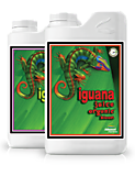 Iguana Juice Organic Bloom