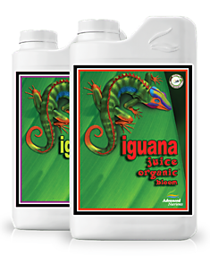 Iguana Juice Organic Bloom